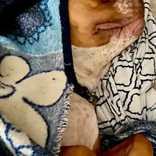 Dexter asleep under layered blue blankets.